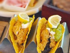 -Famous肥猫墨西哥音乐餐吧(五棵松华熙LIVE店)