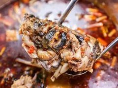 鱼头-铁木真自助餐厅(大庆路店)