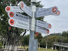 -狐尾山公园