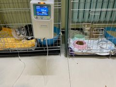 -悦宠凯宝动物医院·牙科·皮肤科(朝阳北路店)