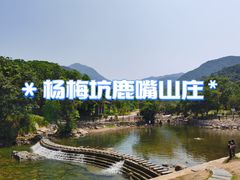 -杨梅坑