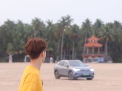 -东郊椰林