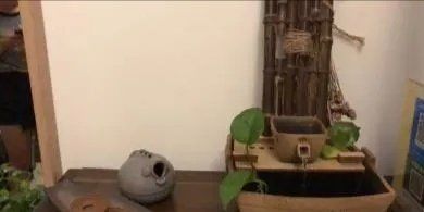 -肥三针腧穴瘦身馆