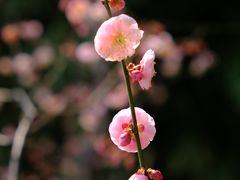 -颐和园