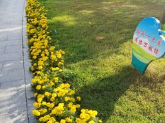-北部湾广场