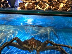 -日进一片海.生腌海鲜火锅.宵夜烧烤(三里屯总店)