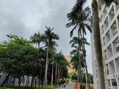 -珠海市体育运动学校