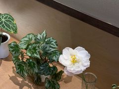 -不正咖啡(万达尊店)