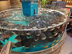 -魏铭鱼头捞饭(晋阳路店)