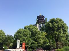 -龙天小镇
