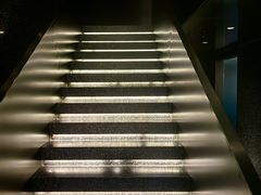 -巴厘龙虾·榜首油焖大虾(洞庭·艺术洋房店)