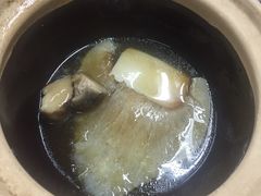 -大中鱼翅 Taitong Shark Fin
