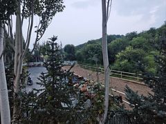 -鼎盛王朝康熙大典实景演出