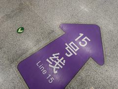 -望京西(地铁站)