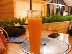 沙棘汁-九十九顶毡房(阜石路店)