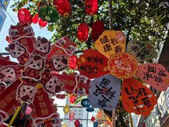 -越秀西湖花市(广州城市广场花卉店)