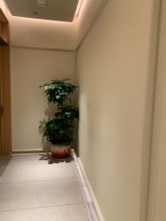 -苑苑vbeauty科技美容SPA