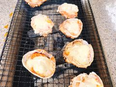 -吴淞炮台湾湿地森林公园烧烤区