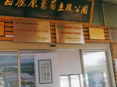 -白鹿原葡萄主题公园