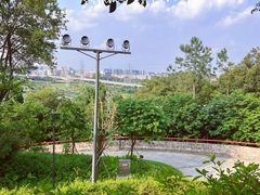 -王借岗森林公园