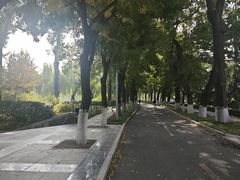 -中国农业博物馆