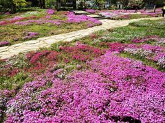 -棒棰岛宾馆景区