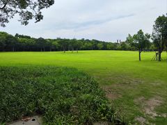 -吴淞炮台湾湿地森林公园烧烤区