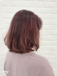 -程Studio