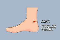 -金美秀瘦身养生