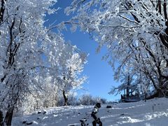 -中旅松花湖滑雪场
