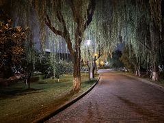 -太阳岛度假酒店