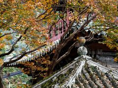 -报恩寺(平武县)