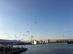 -台场海滨公园船码头