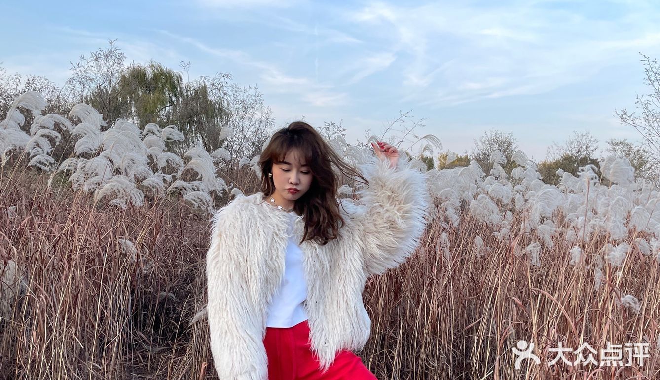 济南免费拍照圣地❗️芦苇荡拍照攻略