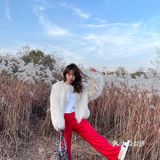 济南免费拍照圣地❗️芦苇荡拍照攻略