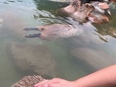 -郑州银基黄帝宫御温泉