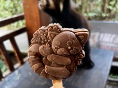 -普洱太阳河森林公园