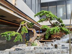 -四季民福烤鸭店(外滩外白渡桥店)