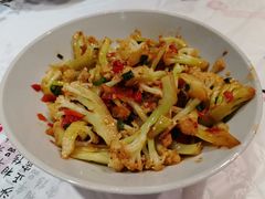 -壹盏灯(惠农店)