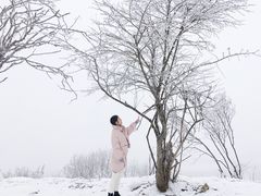 -太子岭滑雪场