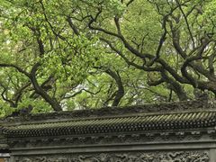 -普陀山风景名胜区-法雨禅寺