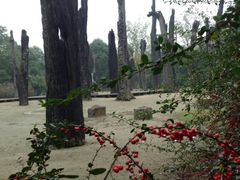 金沙博物馆，市区中的好地方，3千年历史，值得参观一下。-金沙遗址博物馆