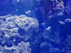 -波塞冬海底世界