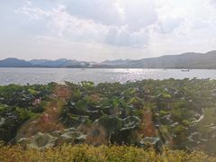 -湖畔居茶楼(湖滨店)