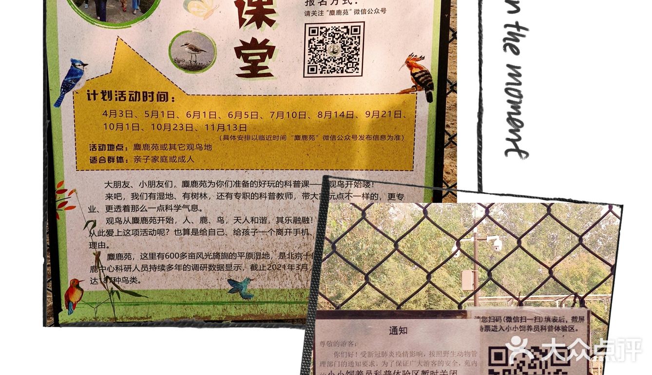 免费公园 近距离接触小动物