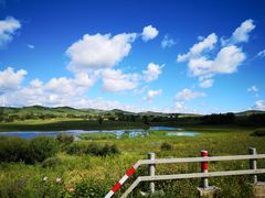 -塞罕坝国家级自然保护区