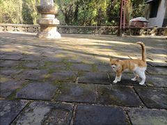-四门塔风景区