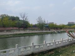 -坝河休闲公园