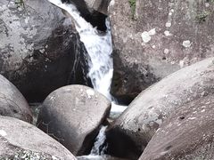 -大围山国家森林公园