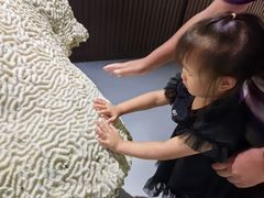 -贝壳王国博物馆